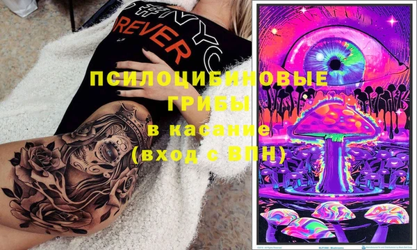 бошки Дмитровск