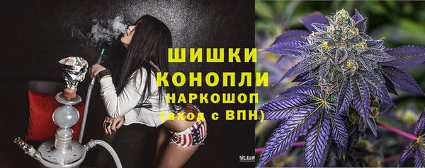 молекула духа Дмитриев