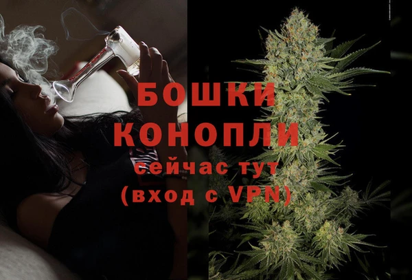 молекула духа Дмитриев