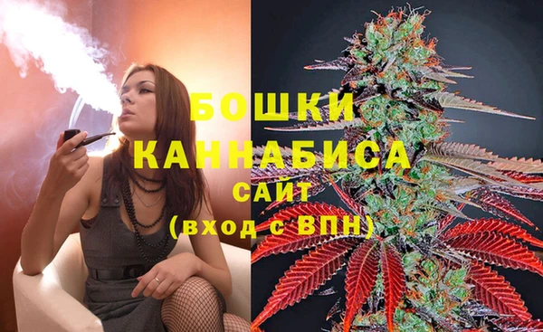 молекула духа Дмитриев