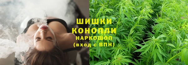 бошки Дмитровск