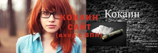 молекула духа Дмитриев